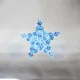 Star - Brooch Delphinus - 1